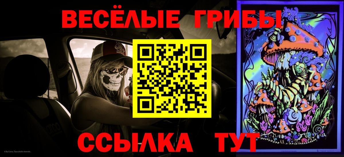 Медногорск  Псилоцибиновые грибы Psilocybe  Вход с VPN 